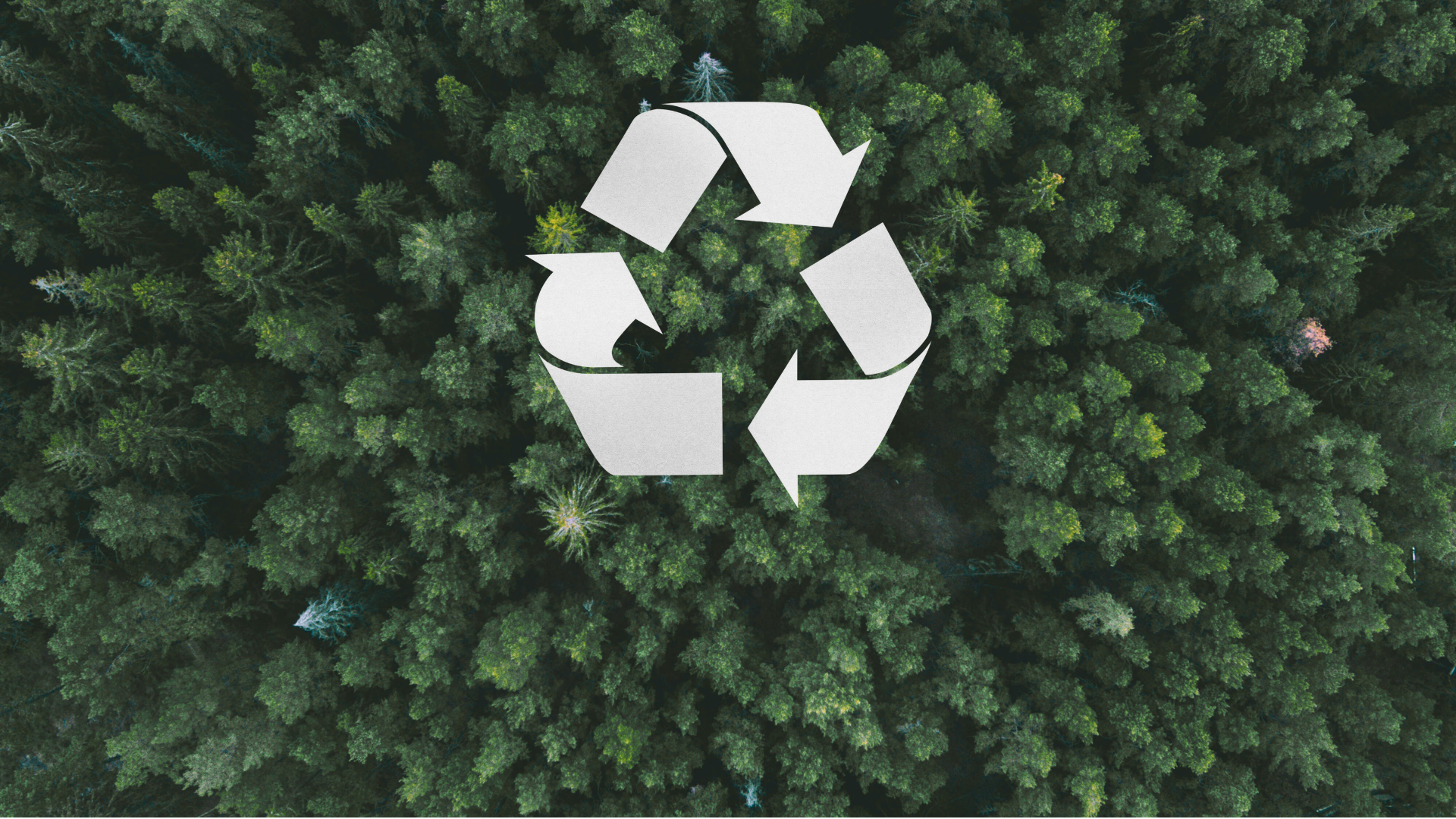 Entsorgungs- und Umweltservices